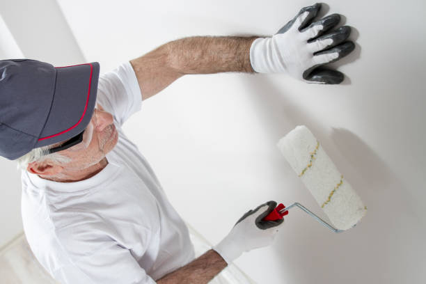 Best Black Mold Removal  in Dimondale, MI