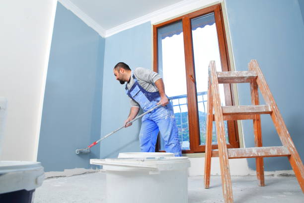 Best Emergency Mold Remediation  in Dimondale, MI