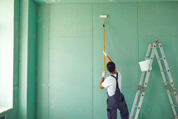 Best Mold Remediation for Vacation Homes  in Dimondale, MI