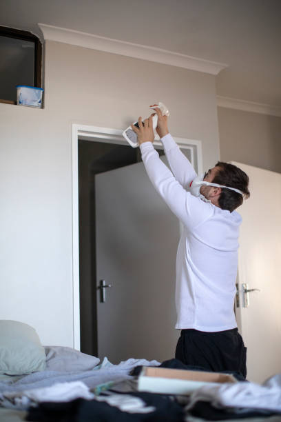 Best Commercial Mold Inspection  in Dimondale, MI