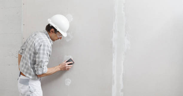 Best Air Quality Testing for Mold Spores  in Dimondale, MI