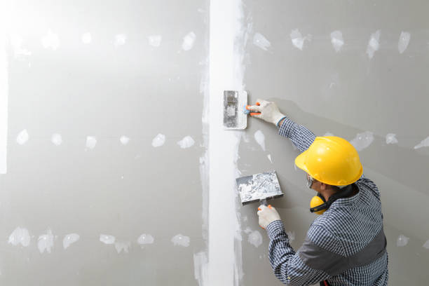 Best Basement Mold Removal  in Dimondale, MI