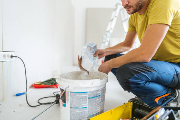 Best Real Estate Mold Inspection  in Dimondale, MI