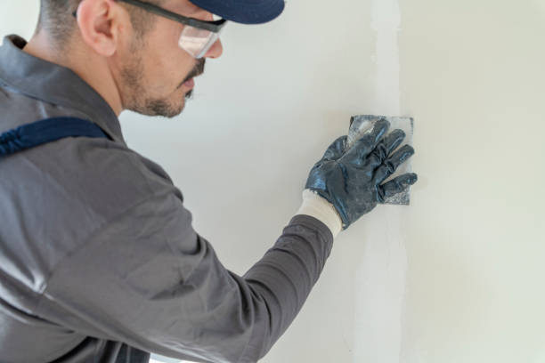 Best Residential Mold Inspection & Testing  in Dimondale, MI