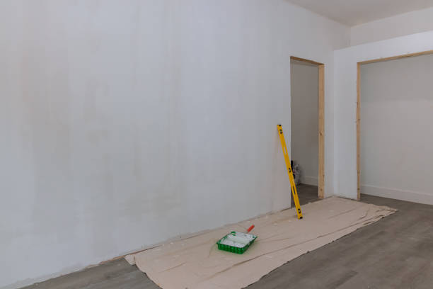 Best Mold Removal for HVAC Installations  in Dimondale, MI
