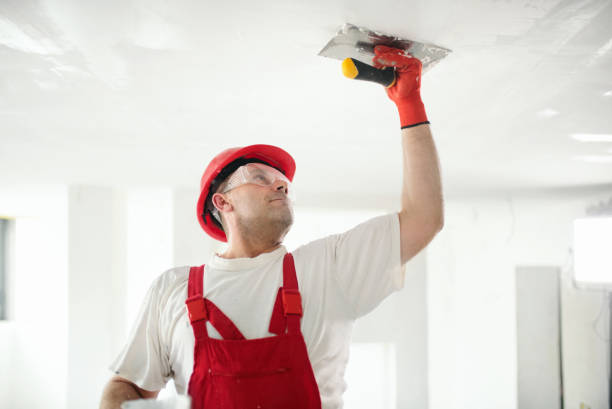  Dimondale, MI Mold Removal Pros
