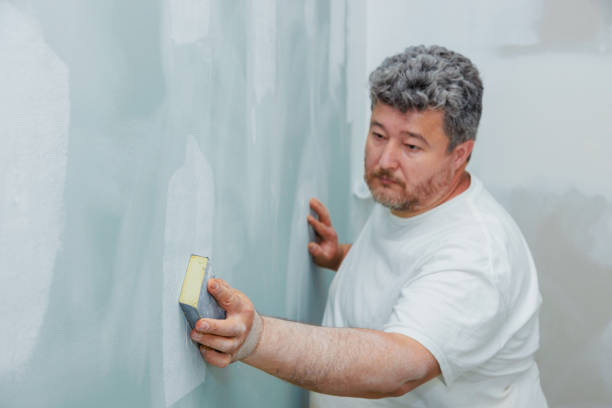 Best Mold Prevention Services  in Dimondale, MI