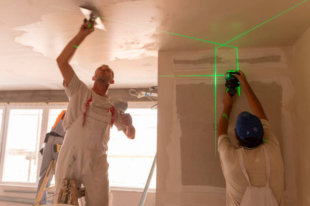 Best Dehumidification Services  in Dimondale, MI