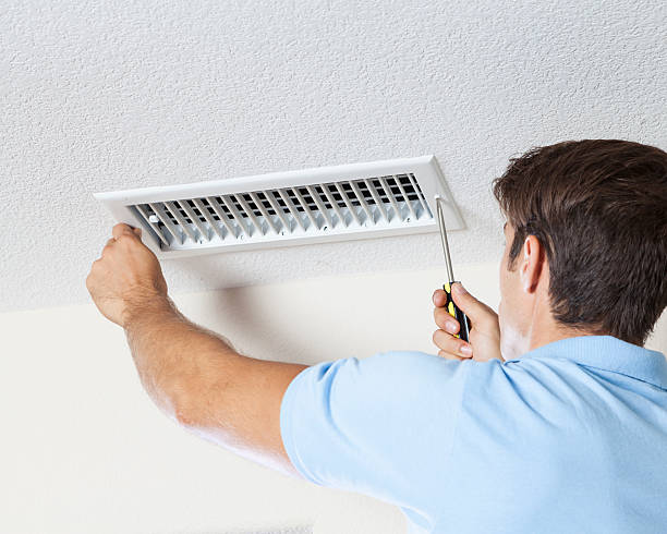 Best HVAC Mold Inspection and Cleaning  in Dimondale, MI