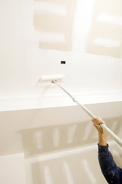 Best Biohazard Mold Removal  in Dimondale, MI