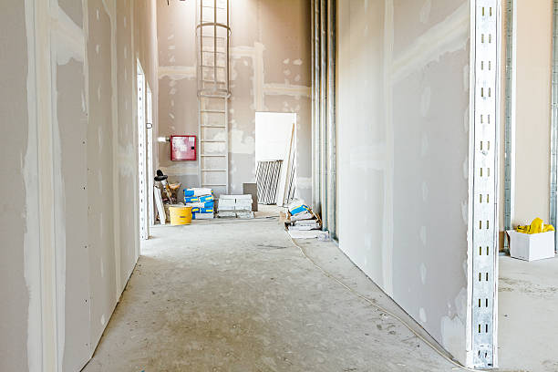 Best HVAC Mold Inspection and Cleaning  in Dimondale, MI