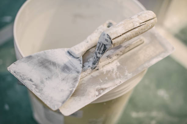 Best Mold Removal for HVAC Installations  in Dimondale, MI
